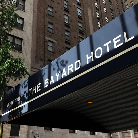 The Bayard-3